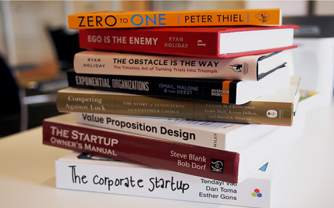 王安石的诗词有何政治家的眼光？