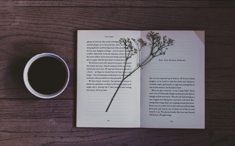 苏轼的词是如何革新了宋词的面貌？